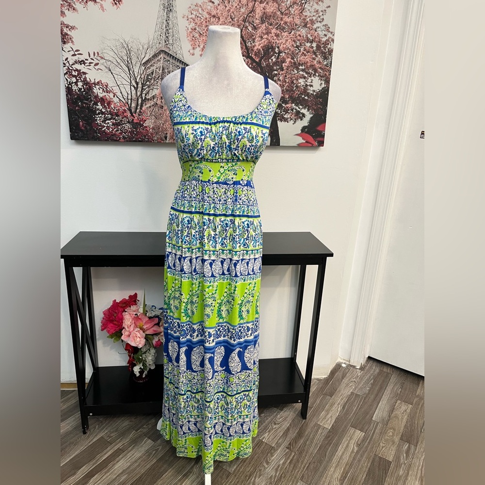 New Directions Women’s Petite  A Line Long Dress Size L Paisley With bra padding